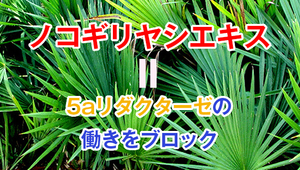 サプリと一緒に飲める育毛剤を選ぶ