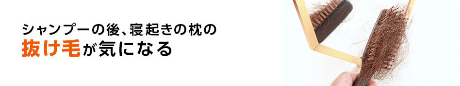 抜け毛がきになる