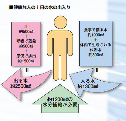 身体の水分の摂取量